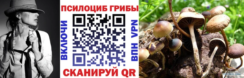 Галлюциногенные грибы MAGIC MUSHROOMS  Купить  Кяхта 
